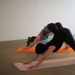 犬のポーズ ヨガ 犬のポーズ